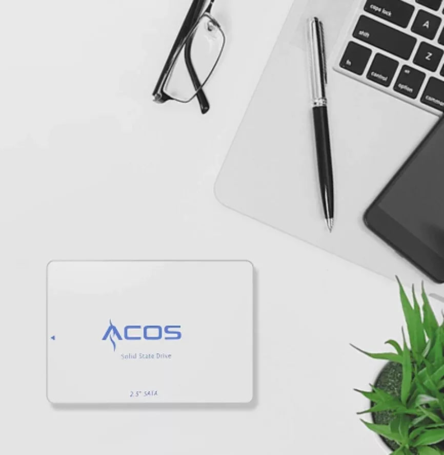 What is the storage capacity of this SSD?