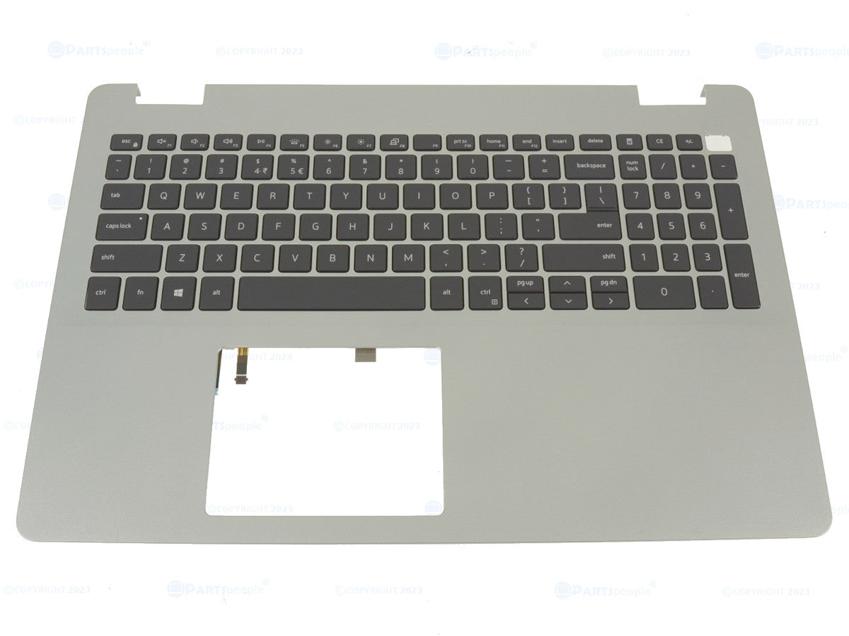 CJ4W8-KB-palm_1200x899.jpg?v=1775747152