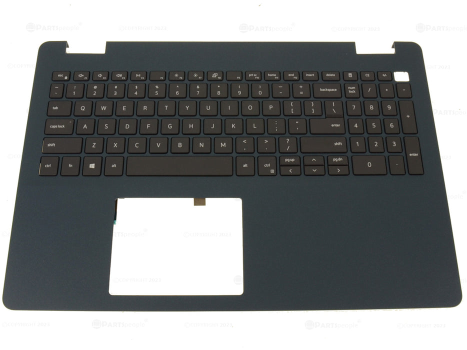 New Dell OEM Inspiron 3505 3501 Palmrest Keyboard Assembly Dark Blue 79TJR TCY04