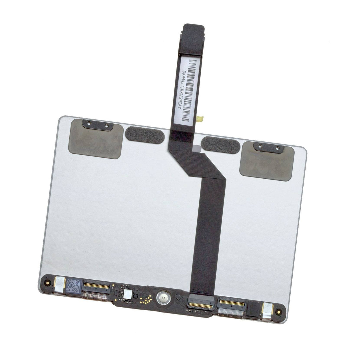 cmp-5715-nib0_web-